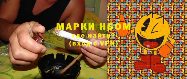 трава Наволоки
