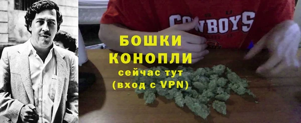 трава Наволоки