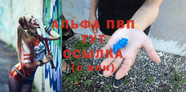 индика Вязники