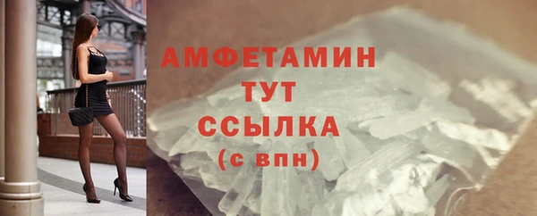 индика Вязники