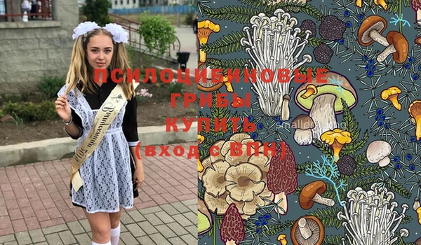 трава Наволоки