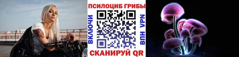 цена   Кингисепп  Галлюциногенные грибы Psilocybine cubensis 