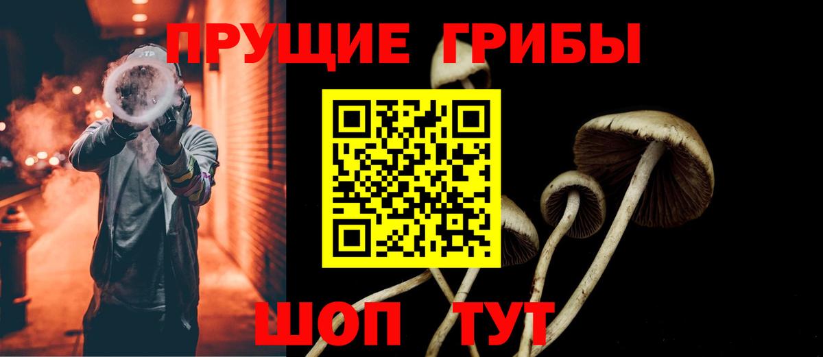 Псилоцибиновые грибы Cubensis Кингисепп